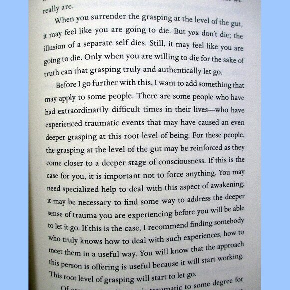 Book: The End of Your World by Adyashanti - Picture 7 of 12